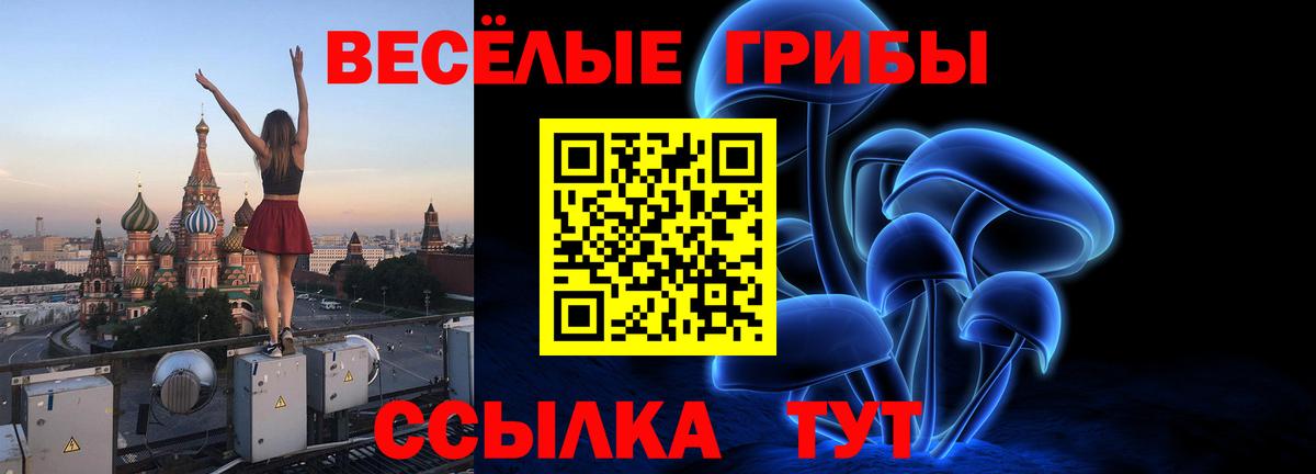 Белорецк  Галлюциногенные грибы Cubensis  Вход с VPN 